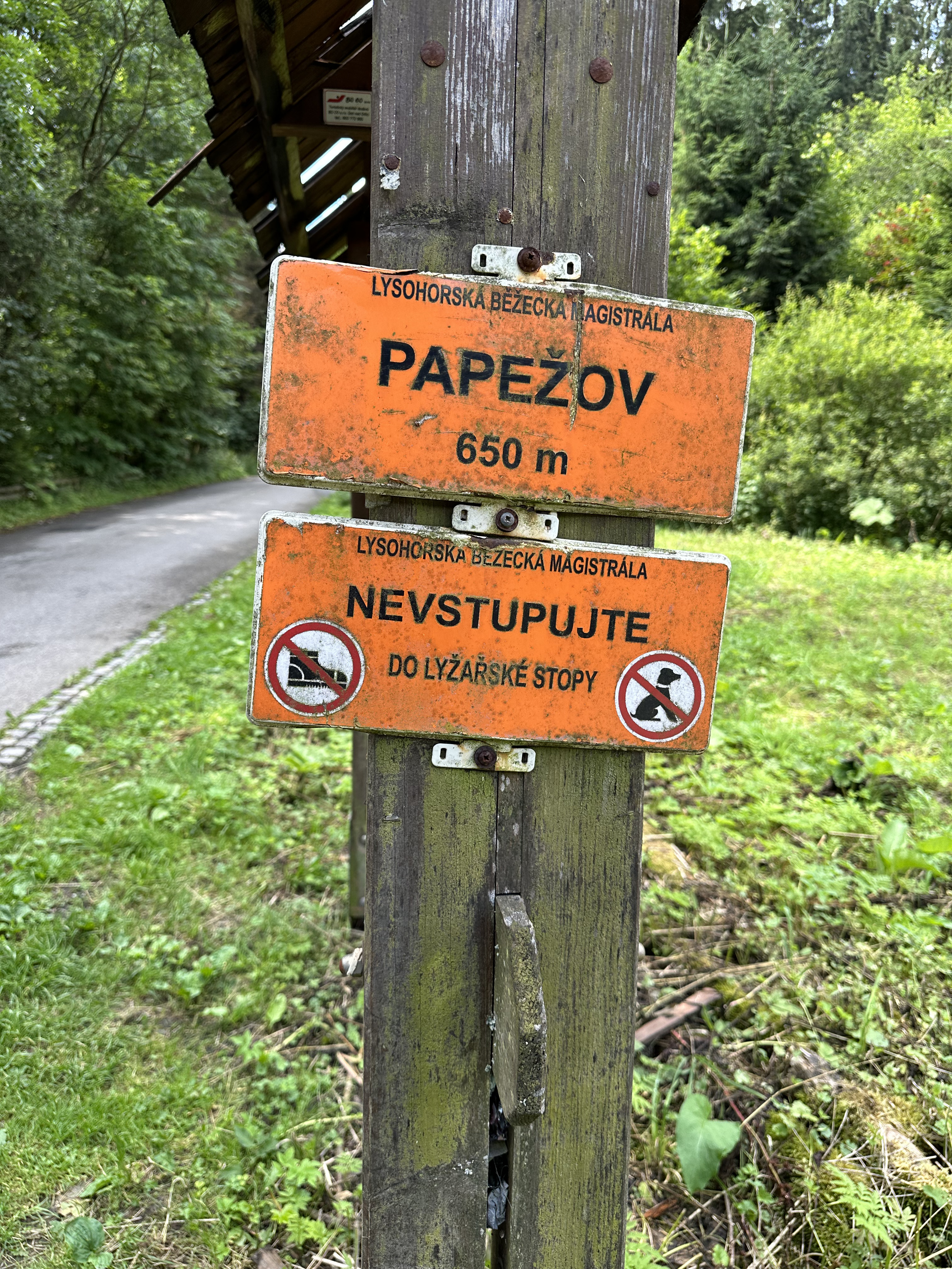 Papežov