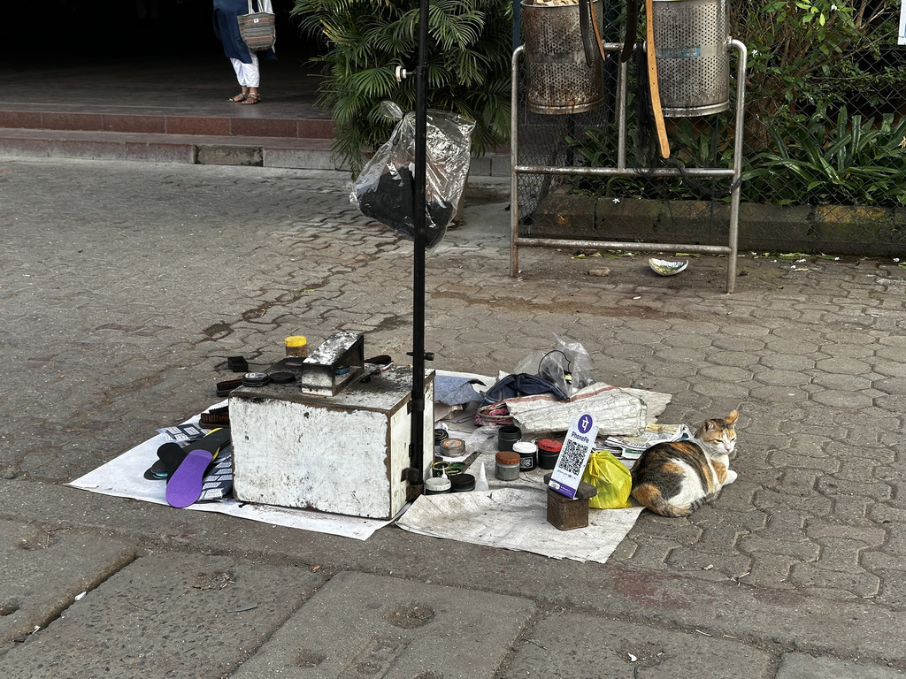 QR kód u pana obuvníka